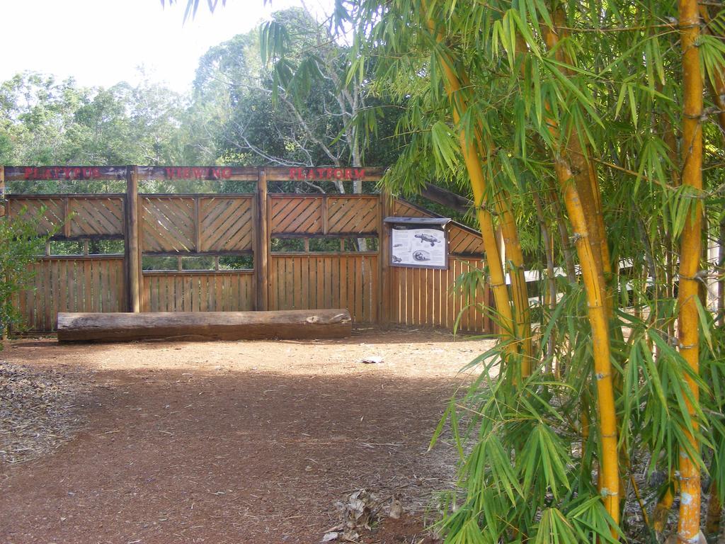 Lake Eacham Tourist Park & Cabins Exteriör bild