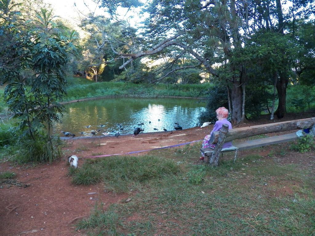 Lake Eacham Tourist Park & Cabins Exteriör bild