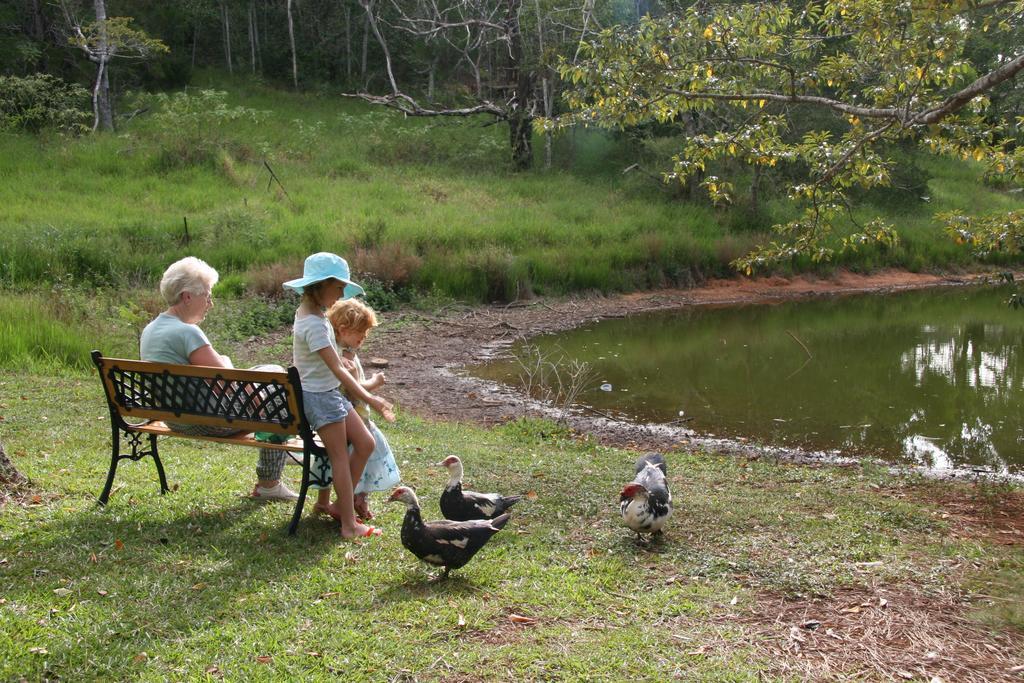 Lake Eacham Tourist Park & Cabins Exteriör bild