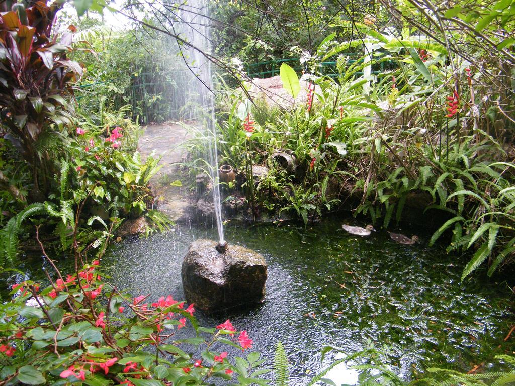 Lake Eacham Tourist Park & Cabins Exteriör bild