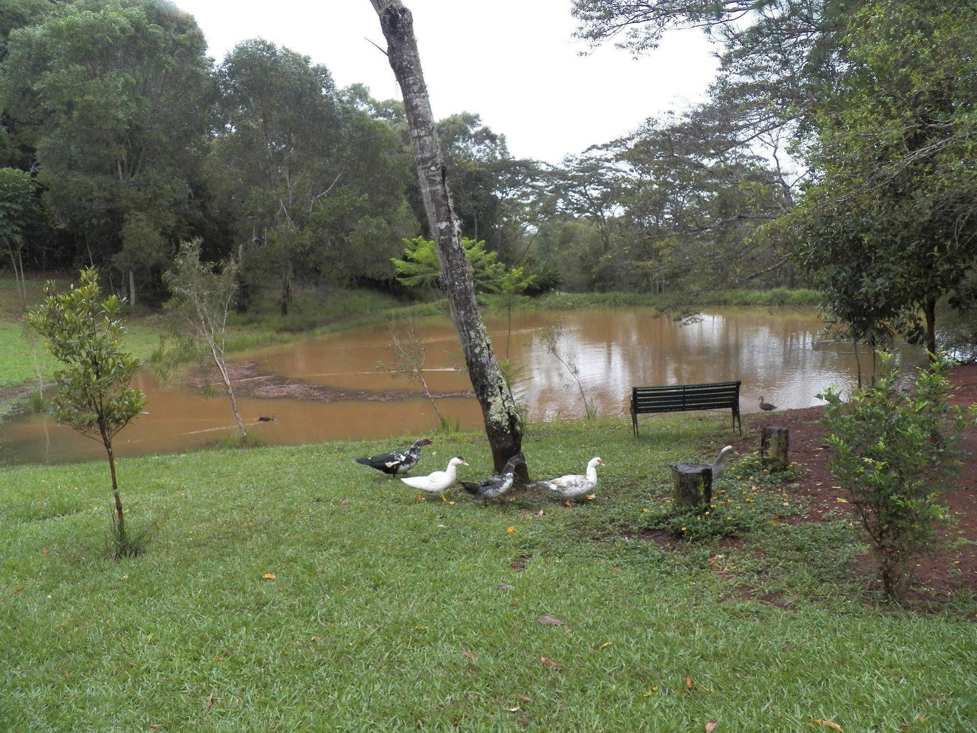 Lake Eacham Tourist Park & Cabins Exteriör bild